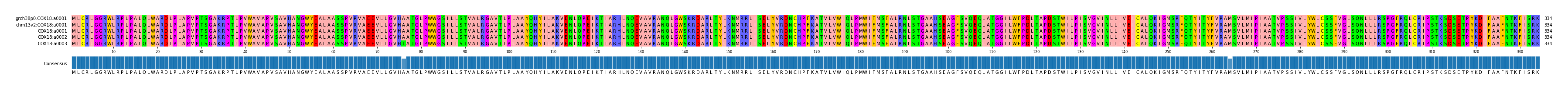 Multiple Alignments (by translate haplotype frequency)
