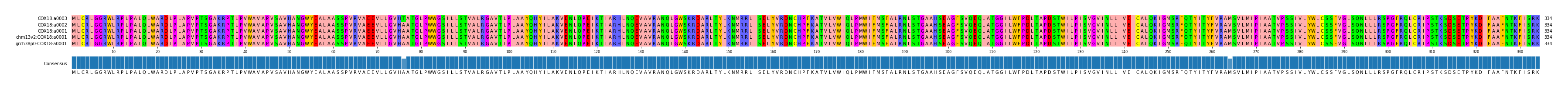 Multiple Alignments (by translate haplotype similarity)
