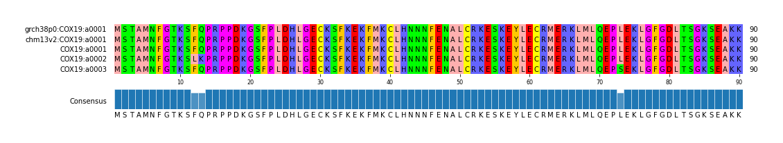 Multiple Alignments (by translate haplotype frequency)