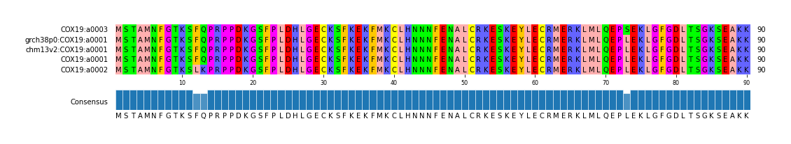 Multiple Alignments (by translate haplotype similarity)