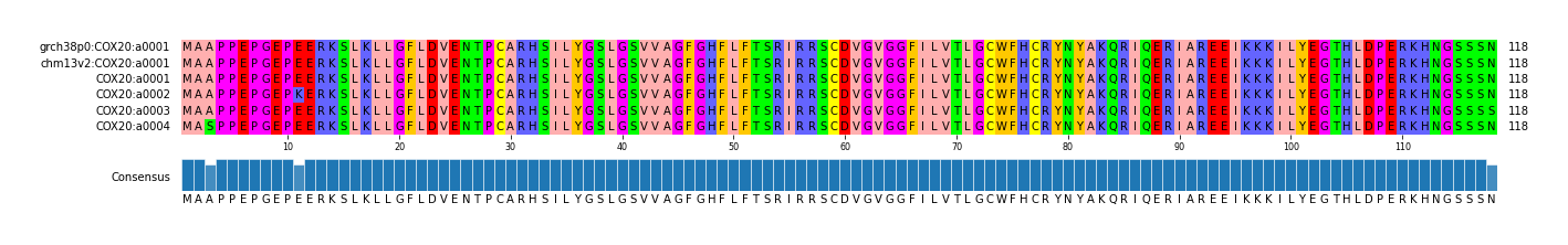 Multiple Alignments (by translate haplotype frequency)