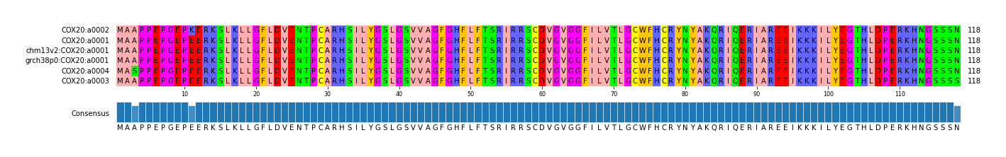 Multiple Alignments (by translate haplotype similarity)