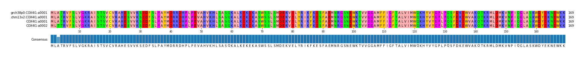 Multiple Alignments (by translate haplotype similarity)
