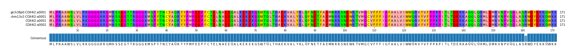 Multiple Alignments (by translate haplotype similarity)