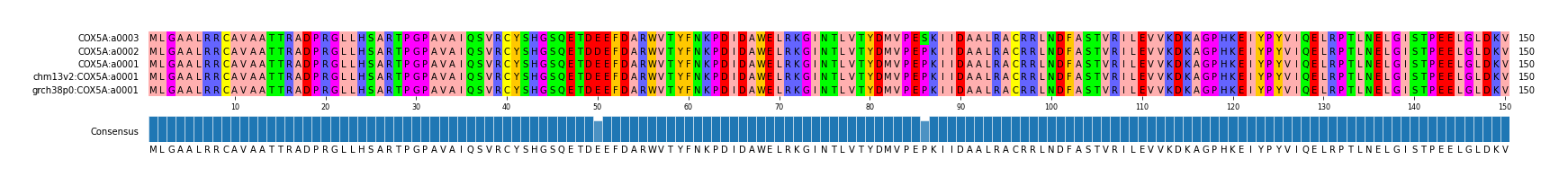 Multiple Alignments (by translate haplotype similarity)