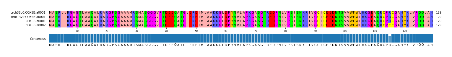 Multiple Alignments (by translate haplotype similarity)