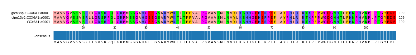 Multiple Alignments (by translate haplotype similarity)