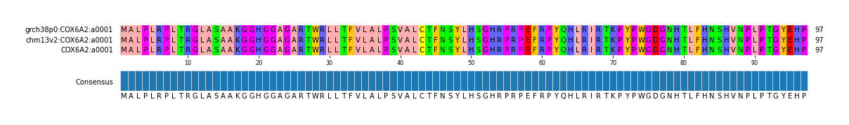 Multiple Alignments (by translate haplotype similarity)
