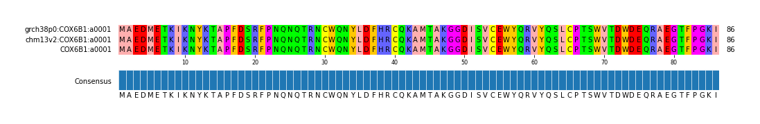 Multiple Alignments (by translate haplotype similarity)