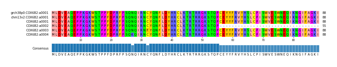 Multiple Alignments (by translate haplotype frequency)