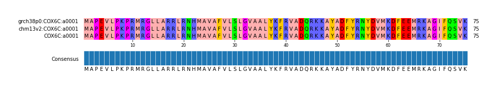 Multiple Alignments (by translate haplotype frequency)
