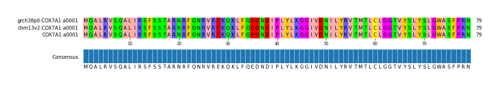Multiple Alignments (by translate haplotype similarity)