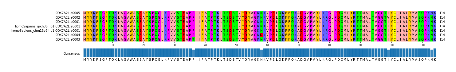 Multiple Alignments (by translate haplotype similarity)