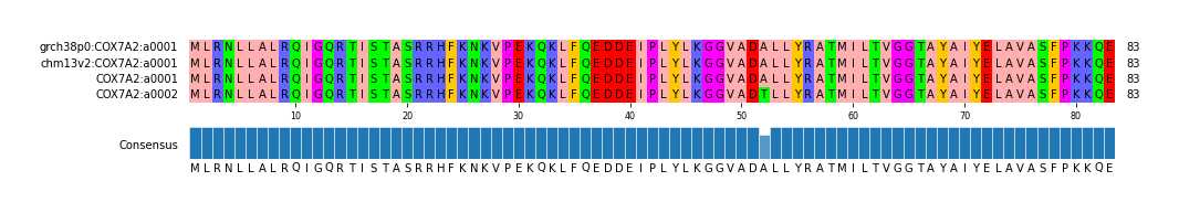 Multiple Alignments (by translate haplotype similarity)
