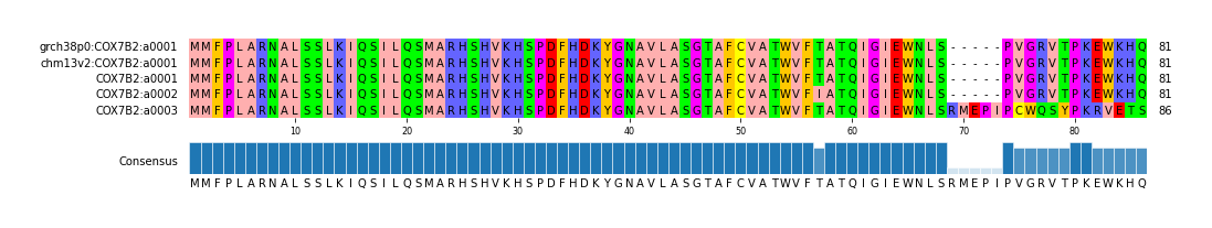 Multiple Alignments (by translate haplotype frequency)