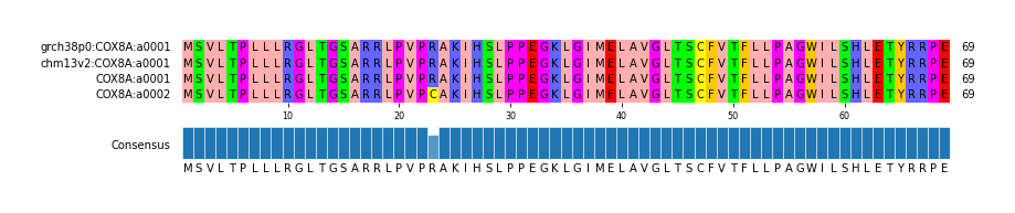 Multiple Alignments (by translate haplotype frequency)