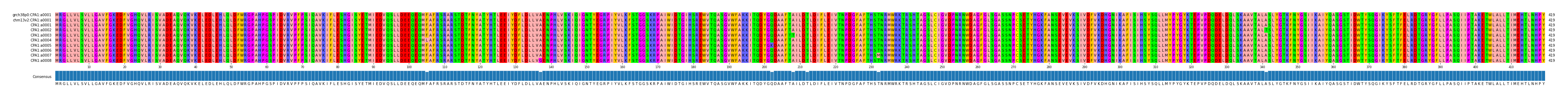 Multiple Alignments (by translate haplotype frequency)