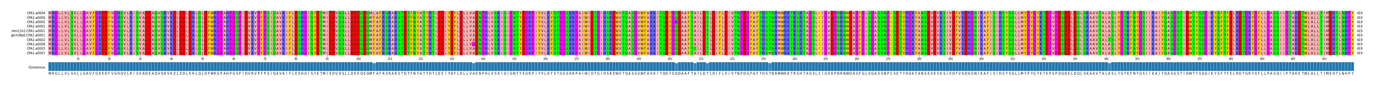 Multiple Alignments (by translate haplotype similarity)