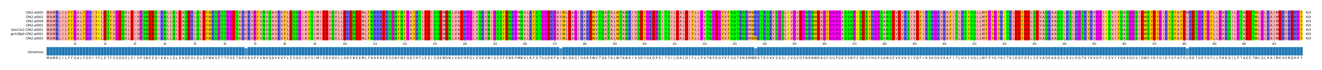 Multiple Alignments (by translate haplotype similarity)