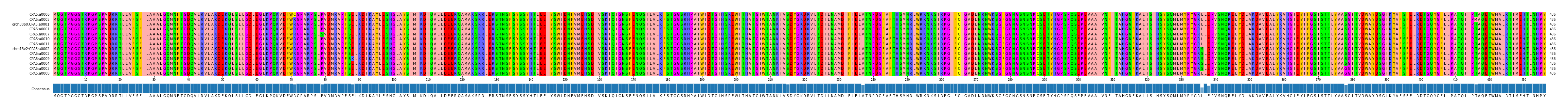 Multiple Alignments (by translate haplotype similarity)