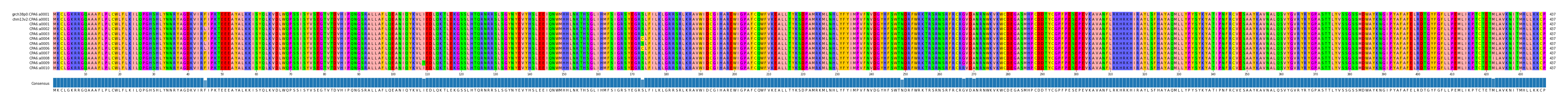 Multiple Alignments (by translate haplotype frequency)