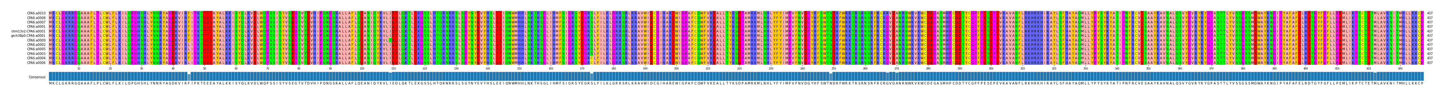 Multiple Alignments (by translate haplotype similarity)