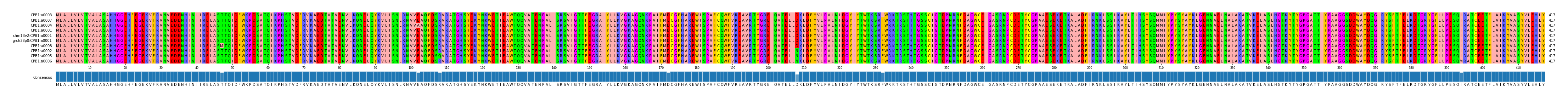 Multiple Alignments (by translate haplotype similarity)