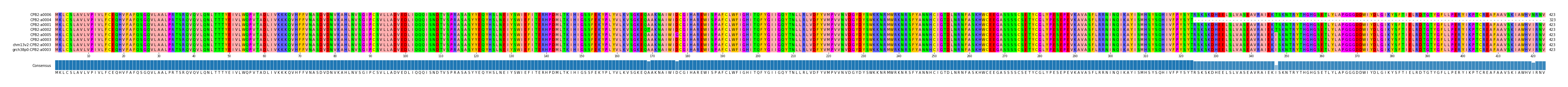 Multiple Alignments (by translate haplotype similarity)