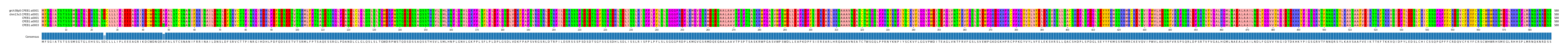 Multiple Alignments (by translate haplotype frequency)