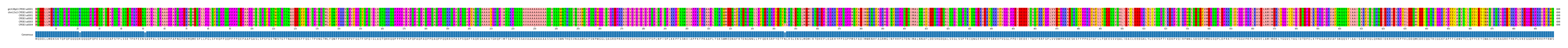 Multiple Alignments (by translate haplotype frequency)