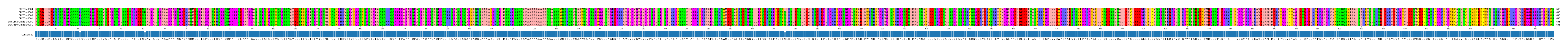 Multiple Alignments (by translate haplotype similarity)