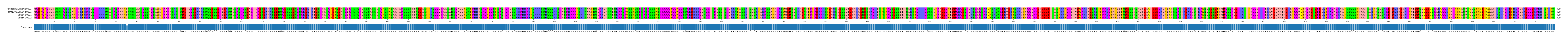 Multiple Alignments (by translate haplotype similarity)