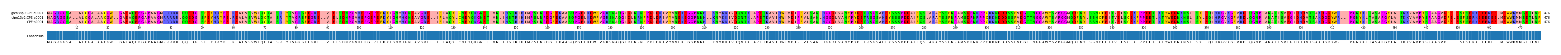 Multiple Alignments (by translate haplotype similarity)