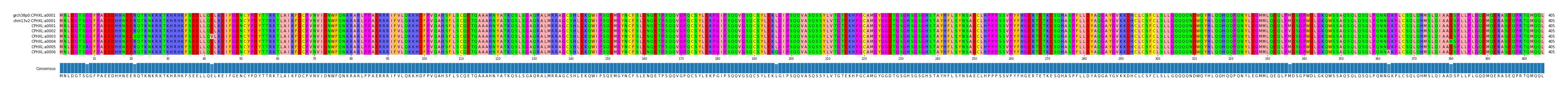 Multiple Alignments (by translate haplotype frequency)