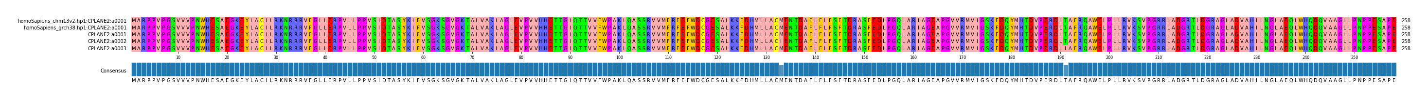 Multiple Alignments (by translate haplotype frequency)