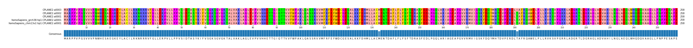 Multiple Alignments (by translate haplotype similarity)