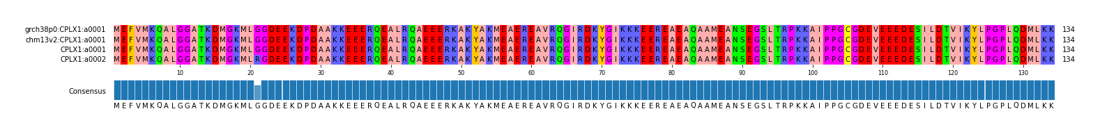 Multiple Alignments (by translate haplotype similarity)