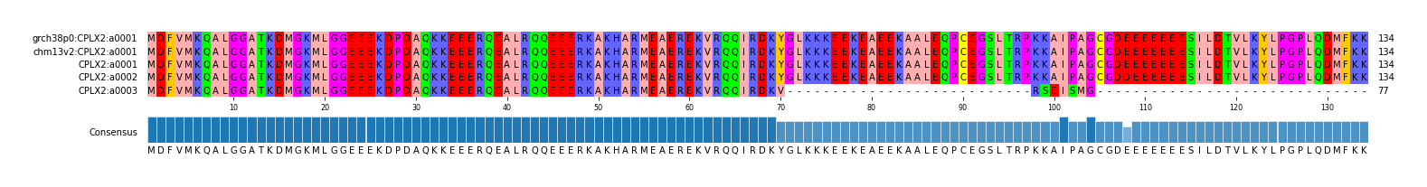 Multiple Alignments (by translate haplotype similarity)