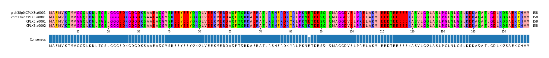 Multiple Alignments (by translate haplotype similarity)