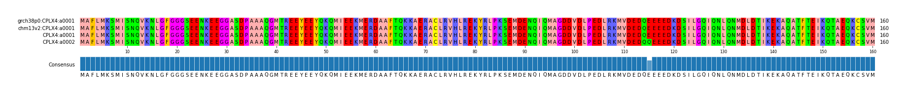 Multiple Alignments (by translate haplotype similarity)