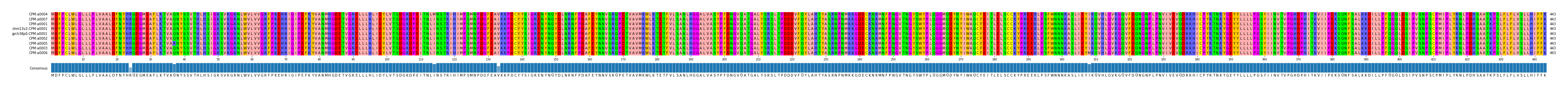 Multiple Alignments (by translate haplotype similarity)