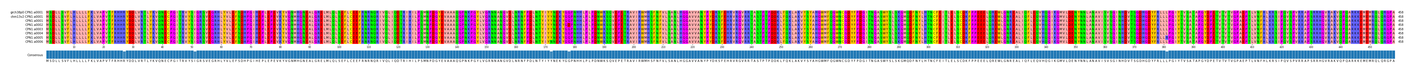 Multiple Alignments (by translate haplotype frequency)