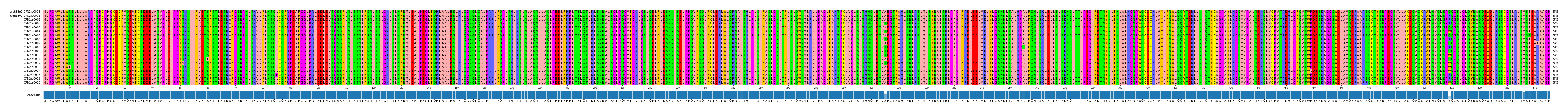 Multiple Alignments (by translate haplotype frequency)