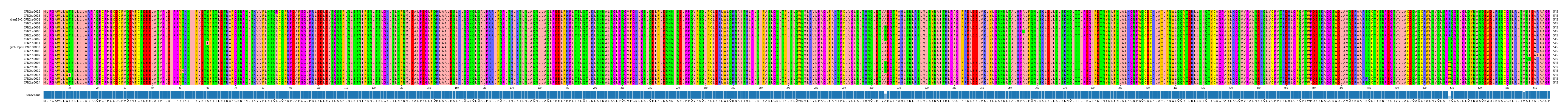 Multiple Alignments (by translate haplotype similarity)