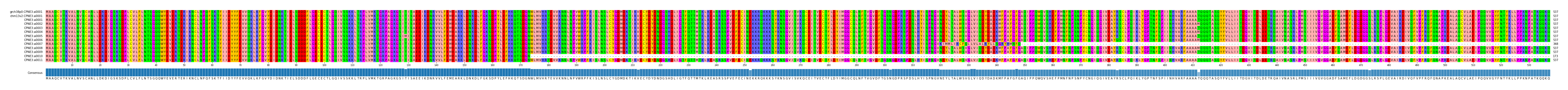 Multiple Alignments (by translate haplotype frequency)