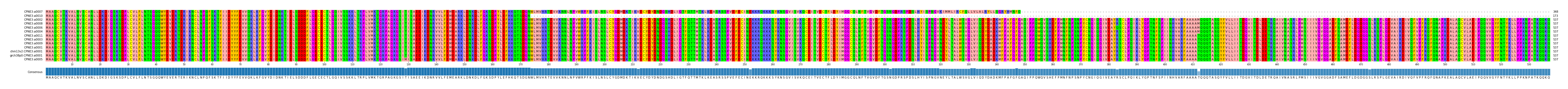 Multiple Alignments (by translate haplotype similarity)