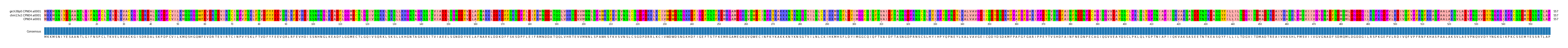 Multiple Alignments (by translate haplotype similarity)