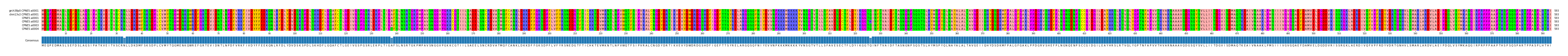 Multiple Alignments (by translate haplotype frequency)