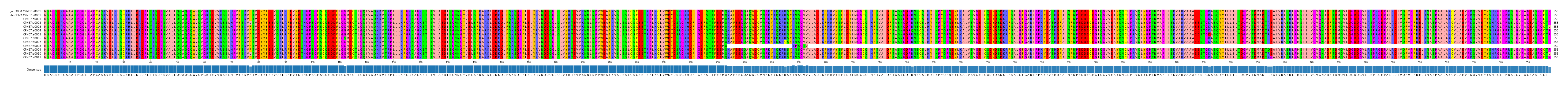 Multiple Alignments (by translate haplotype frequency)