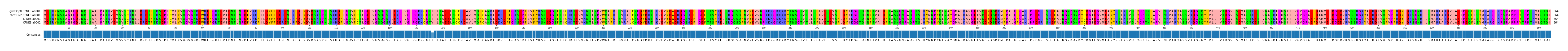 Multiple Alignments (by translate haplotype similarity)